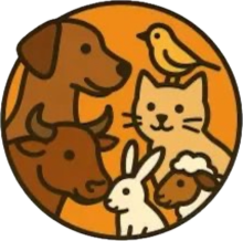 حيوانات و طيور